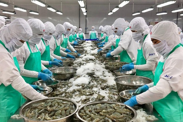 5 tháng năm 2024, xuất khẩu thủy sản tăng 6,5%- Ảnh 1. 5 tháng năm 2024, xuất khẩu thủy sản tăng 6,5%- Ảnh 1.