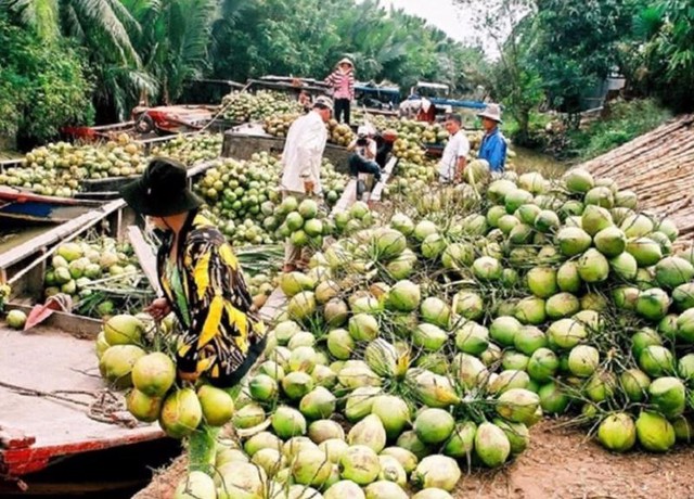 Đông Bắc Á là thị trường chiến lược của rau quả Việt Nam- Ảnh 1.