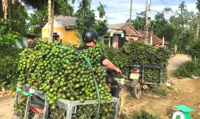 Nghệ An: Cau tươi tăng giá kỷ lục do thương lái lùng mua bán sang Trung Quốc- Ảnh 3.