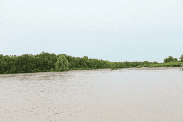 Phát triển kinh tế gắn liền với bảo vệ môi trường- Ảnh 8. Phát triển kinh tế gắn liền với bảo vệ môi trường- Ảnh 8.