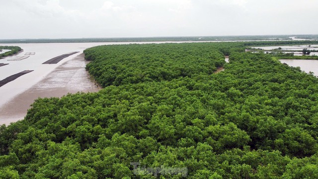 Phát triển kinh tế gắn liền với bảo vệ môi trường- Ảnh 5. Phát triển kinh tế gắn liền với bảo vệ môi trường- Ảnh 5.