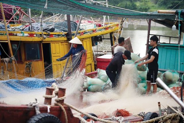 Cùng ngư dân Thái Bình "thắp sáng đèn trên biển"- Ảnh 1.