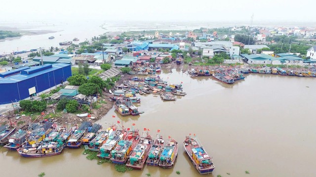 Cùng ngư dân Thái Bình "thắp sáng đèn trên biển"- Ảnh 4.