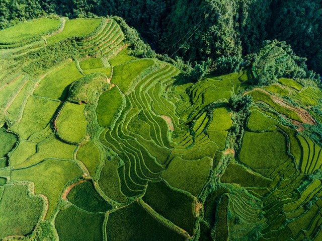 Sa Pa mùa lúa xanh - thiên đường nơi hạ giới- Ảnh 3.