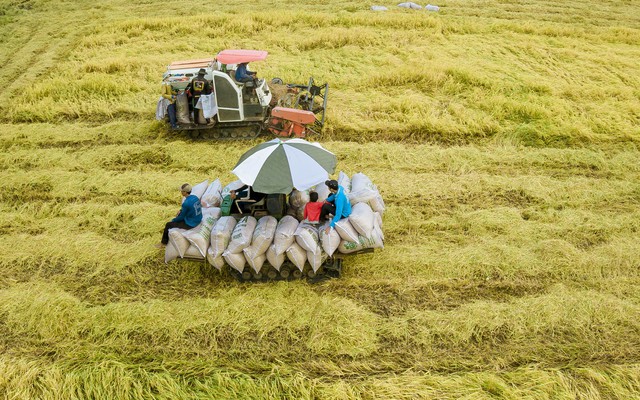 Hậu Giang: 7 tháng đầu năm thu ngân sách trên 10.510 tỷ đồng- Ảnh 2.