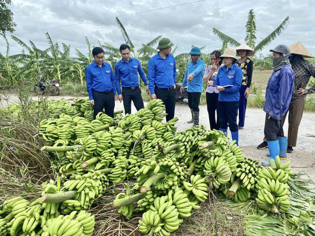 Tuổi trẻ Đoàn thanh niên tỉnh Thái Bình chung tay hỗ trợ nhân dân sau cơn bão số 3- Ảnh 2.