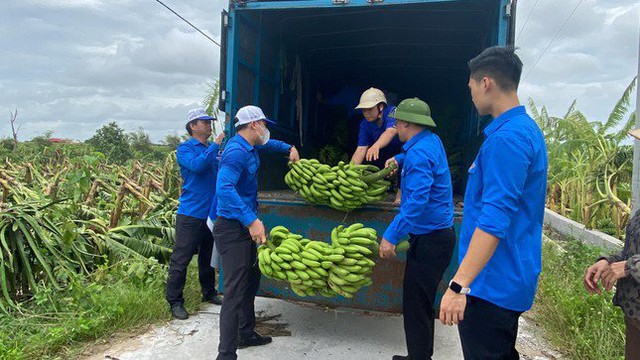 Tuổi trẻ Đoàn thanh niên tỉnh Thái Bình chung tay hỗ trợ nhân dân sau cơn bão số 3- Ảnh 3.