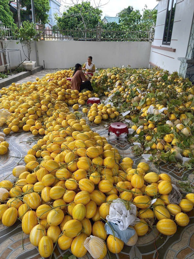 Tình người trong bão, lũ- Ảnh 4.