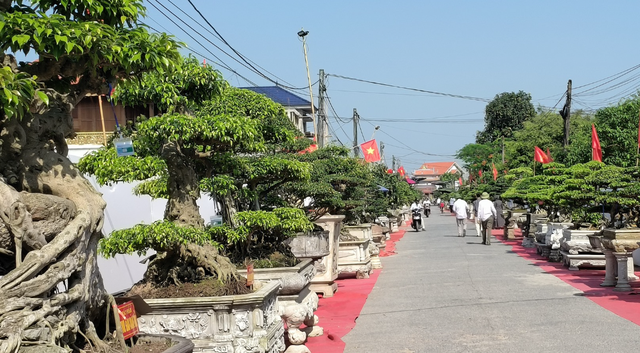 Hà Nội: Đấu giá sinh vật cảnh ủng hộ đồng bào bị bão lũ- Ảnh 1.