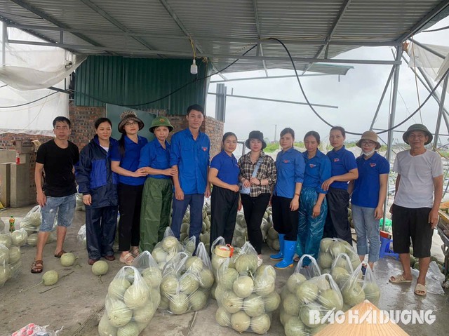 Hải Dương rút ngắn thời gian kiểm tra, thẩm định, phê duyệt hồ sơ hỗ trợ thiệt hại bão số 3- Ảnh 1.