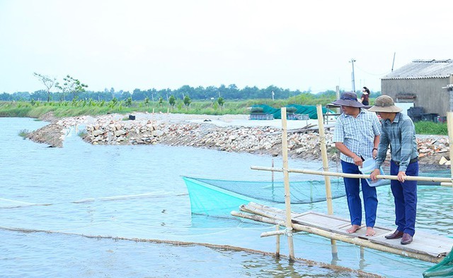 Hà Tĩnh: Nuôi thủy sản xen ghép cho lợi nhuận hơn 250 triệu đồng/ha- Ảnh 3.