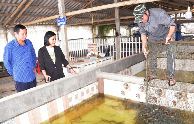 Nghệ An: Nuôi trồng thủy sản đối mặt nhiều khó khăn- Ảnh 3.