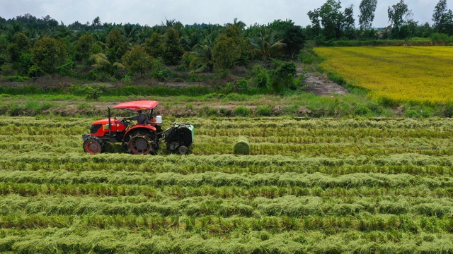 Mong đợi từ những cánh đồng lúa chất lượng cao, phát thải thấp- Ảnh 4.