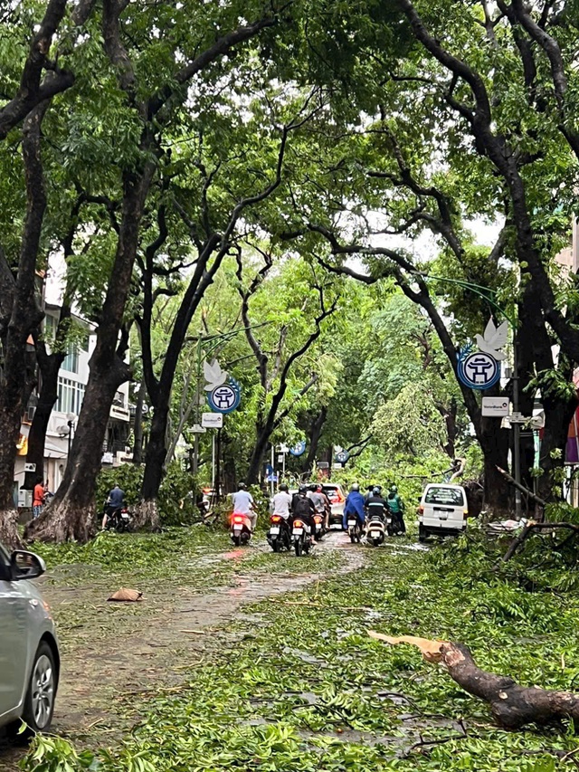 Hà Nội: Nhanh chóng khắc phục thiệt hại do ảnh hưởng của bão số 3- Ảnh 1.