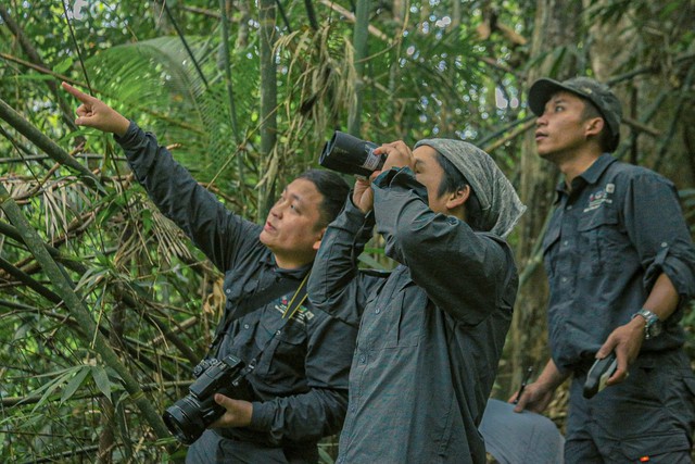 BQL rừng phòng hộ huyện Tây Giang: Nâng cao hiệu quả quản lý, bảo vệ và phát triển rừng- Ảnh 4. BQL rừng phòng hộ huyện Tây Giang: Nâng cao hiệu quả quản lý, bảo vệ và phát triển rừng- Ảnh 4.