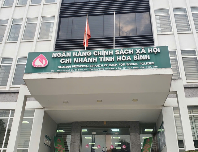 NHCSXH Chi nhánh tỉnh Hòa Bình: Sử dụng hiệu quả vốn tín dụng chính sách- Ảnh 1.