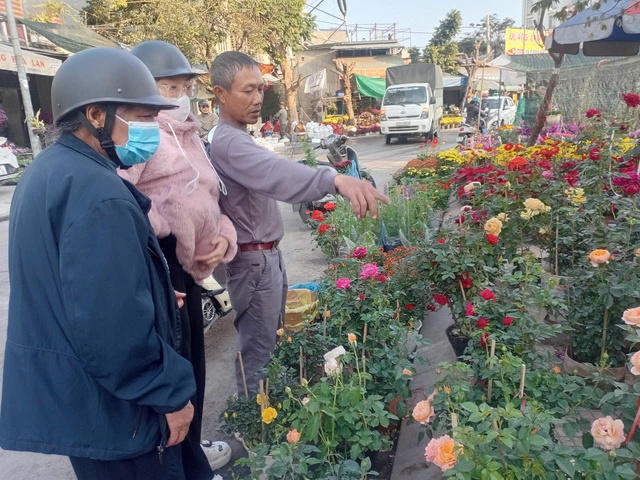 Hải Phòng: Thị trường hoa cây cảnh đang 