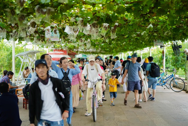 TP Hồ Chí Minh: Một số điểm du xuân người dân có thể lựa chọn dịp Tết Nguyên đán 2025- Ảnh 3.