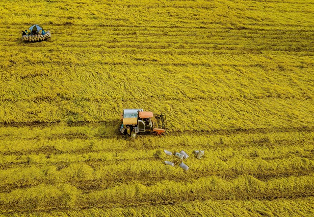 Hậu Giang: Tổng vốn đầu tư toàn xã hội trên địa bàn huyện Vị Thủy năm 2024 đạt 2.710 tỷ đồng- Ảnh 2.