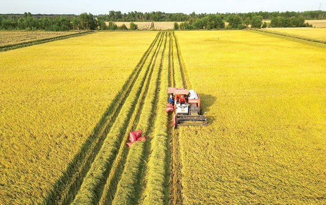 Đến năm 2035, ngành trồng trọt giảm ít nhất 15% phát thải khí nhà kính- Ảnh 1.