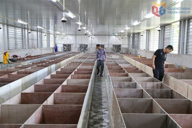 Từ hai bàn tay trắng, không bằng cấp, chàng trai 9X Quảng Ninh gây dựng cơ đồ bạc tỷ, nổi danh khắp vùng- Ảnh 2.