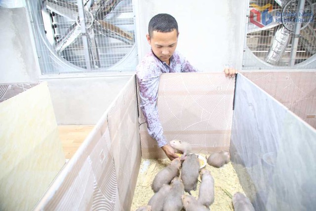 Từ hai bàn tay trắng, không bằng cấp, chàng trai 9X Quảng Ninh gây dựng cơ đồ bạc tỷ, nổi danh khắp vùng- Ảnh 1.