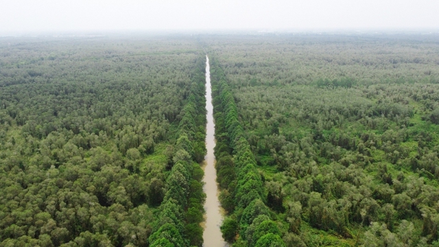 72,7% doanh nghiệp nông nghiệp đã xây dựng chiến lược ESG toàn diện- Ảnh 1.