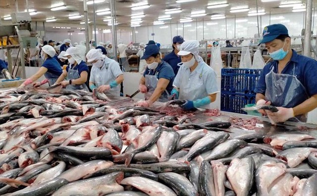 Ngành hàng tỷ đô của Việt Nam khai phá "mỏ vàng" tại nền kinh tế lớn nhất Mỹ Latin- Ảnh 1. Ngành hàng tỷ đô của Việt Nam khai phá "mỏ vàng" tại nền kinh tế lớn nhất Mỹ Latin- Ảnh 1.