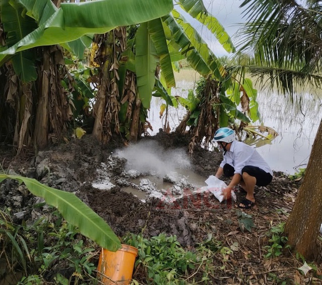 Cần Thơ: Phát hiện vụ giết mổ và mua bán thịt nhiễm tả heo châu Phi- Ảnh 3. Cần Thơ: Phát hiện vụ giết mổ và mua bán thịt nhiễm tả heo châu Phi- Ảnh 3.