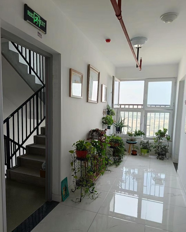 4 thứ đặt trước cửa nhà, xui chí mạng!- Ảnh 5. 4 thứ đặt trước cửa nhà, xui chí mạng!- Ảnh 5.