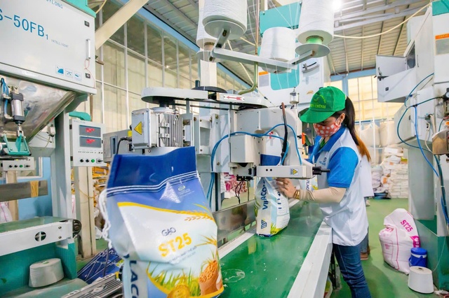 Nghệ An: Áp lực lớn khiến doanh nghiệp “chậm lớn”- Ảnh 4. Nghệ An: Áp lực lớn khiến doanh nghiệp “chậm lớn”- Ảnh 4.