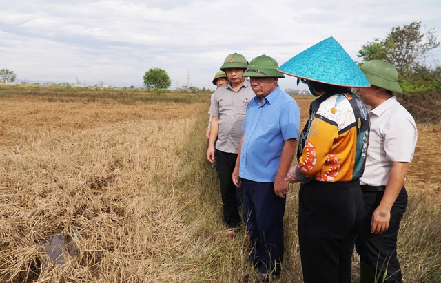 Nghệ An: Áp lực lớn khiến doanh nghiệp “chậm lớn”- Ảnh 1. Nghệ An: Áp lực lớn khiến doanh nghiệp “chậm lớn”- Ảnh 1.