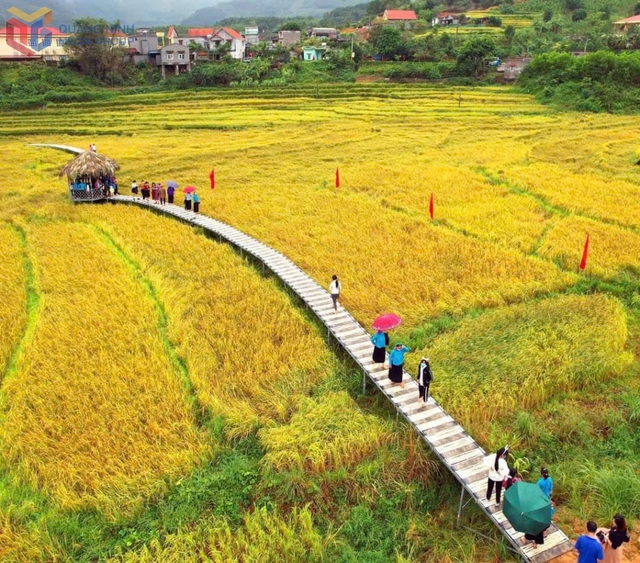 Quảng Ninh: Quảng bá bản sắc văn hóa vùng cao qua Lễ hội Mùa vàng miền Soóng cọ năm 2025- Ảnh 1. Quảng Ninh: Quảng bá bản sắc văn hóa vùng cao qua Lễ hội Mùa vàng miền Soóng cọ năm 2025- Ảnh 1.