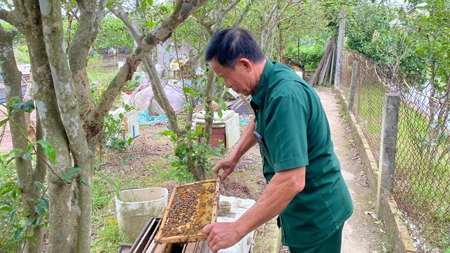 Người giữ hồn mật ngọt: Ba mươi năm và giấc mơ giữ nghề cho con cháu- Ảnh 2. Người giữ hồn mật ngọt: Ba mươi năm và giấc mơ giữ nghề cho con cháu- Ảnh 2.