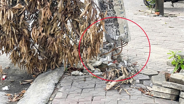 Nghệ An: Nguy cơ mất an toàn từ đường dây điện, cáp viễn thông- Ảnh 5. Nghệ An: Nguy cơ mất an toàn từ đường dây điện, cáp viễn thông- Ảnh 5.