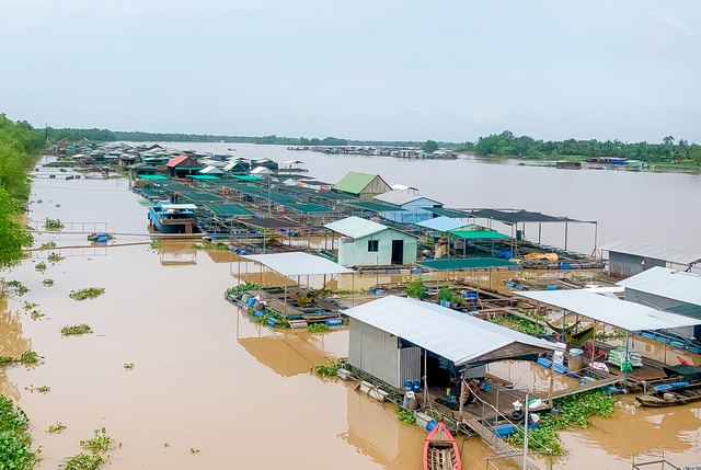 Câu chuyện du lịch sinh thái bên chân 2 cầu Rạch Miễu- Ảnh 3. Câu chuyện du lịch sinh thái bên chân 2 cầu Rạch Miễu- Ảnh 3.