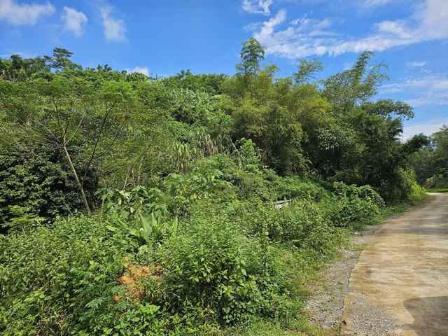 Đầu tư vào thiên nhiên là chìa khóa cho tương lai thịnh vượng- Ảnh 1. Đầu tư vào thiên nhiên là chìa khóa cho tương lai thịnh vượng- Ảnh 1.