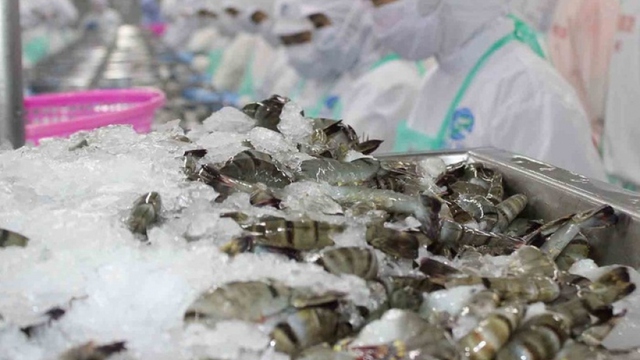 10 tháng, Việt Nam chi khoảng 2,73 tỷ USD nhập khẩu thủy sản- Ảnh 1. 10 tháng, Việt Nam chi khoảng 2,73 tỷ USD nhập khẩu thủy sản- Ảnh 1.