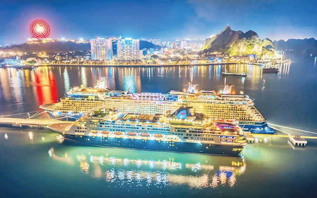 Lần đầu tiên Việt Nam ghi nhận một kỷ lục chưa từng có- Ảnh 2.