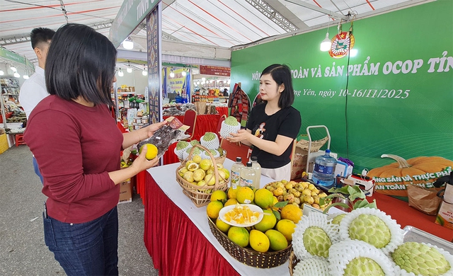 Hưng Yên: Kết nối cung cầu khu vực Đồng bằng Bắc Bộ năm 2025- Ảnh 3. Hưng Yên: Kết nối cung cầu khu vực Đồng bằng Bắc Bộ năm 2025- Ảnh 3.