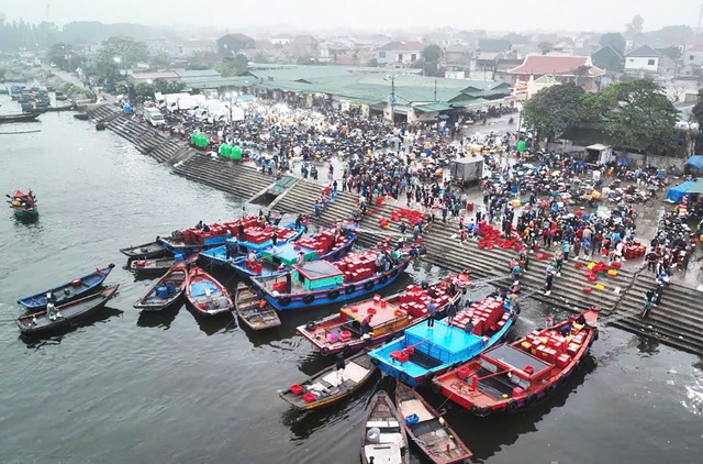 Hướng đi bền vững cho ngành thuỷ sản Nghệ An- Ảnh 1.