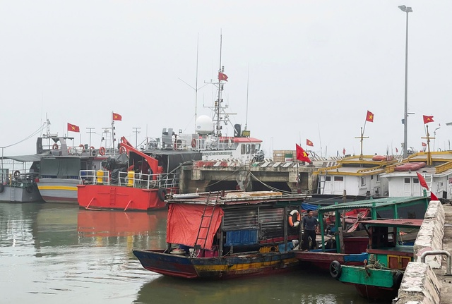 Hướng đi bền vững cho ngành thuỷ sản Nghệ An- Ảnh 4.