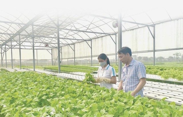 Chuỗi liên kết - nền tảng bứt phá cho nông nghiệp công nghệ cao Thanh Hóa- Ảnh 3. Chuỗi liên kết - nền tảng bứt phá cho nông nghiệp công nghệ cao Thanh Hóa- Ảnh 3.