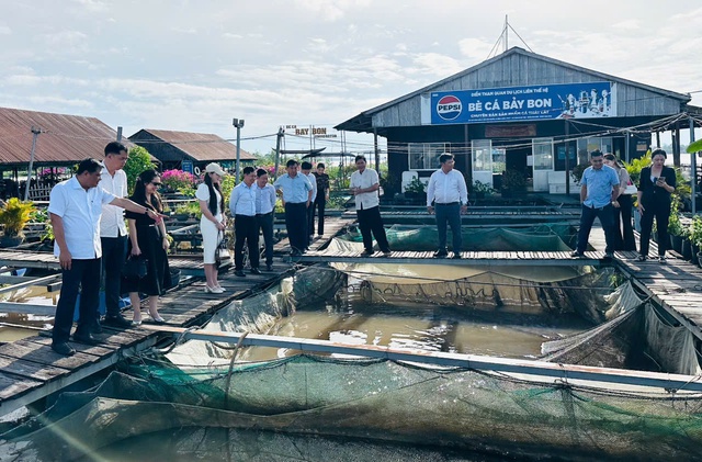 Giám đốc Sở Văn hóa, Thể thao và Du lịch TP Cần Thơ khảo sát điểm du lịch Bảy Bon, Đình thần Thới An- Ảnh 3.