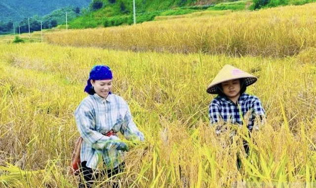 Thanh Hóa: Khát vọng tăng trưởng và hành trình vượt dốc- Ảnh 4.