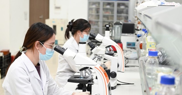 Liên minh chiến lược “3 nhà” thúc đẩy công nghệ sinh học Việt Nam- Ảnh 1.