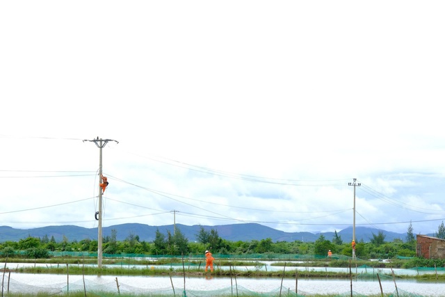 PC Đà Nẵng chủ động triển khai đồng bộ các biện pháp ứng phó với bão số 13- Ảnh 1. PC Đà Nẵng chủ động triển khai đồng bộ các biện pháp ứng phó với bão số 13- Ảnh 1.