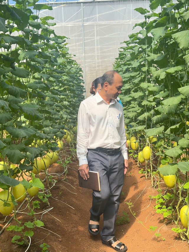 Đồng Nai: Bí thư Đảng uỷ trăn trở với bài toán nông nghiệp Xuân Bắc- Ảnh 2.