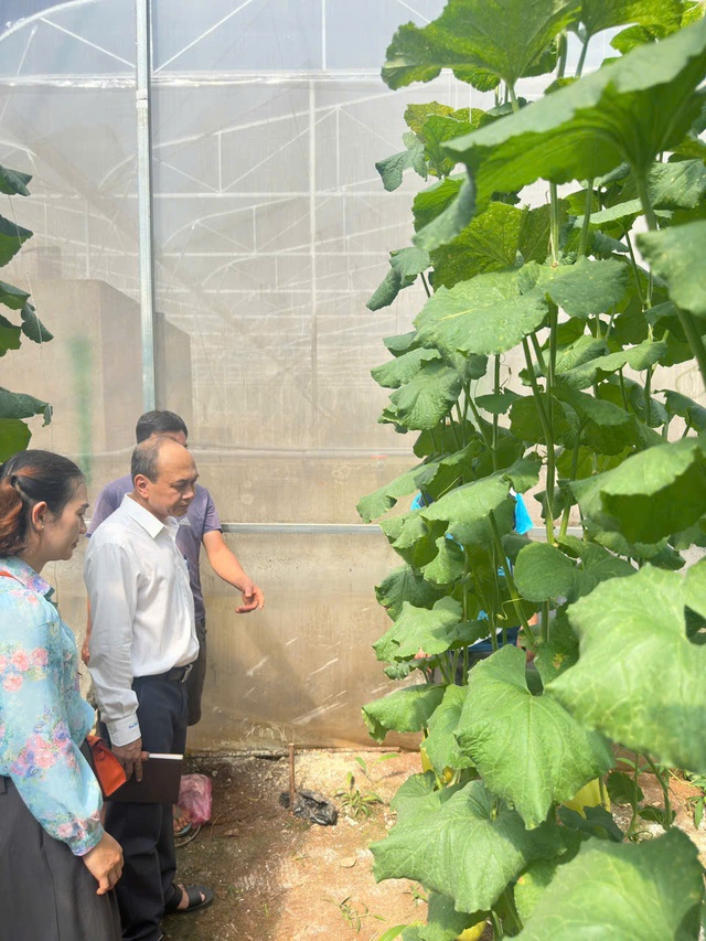 Đồng Nai: Bí thư Đảng uỷ trăn trở với bài toán nông nghiệp Xuân Bắc- Ảnh 3.