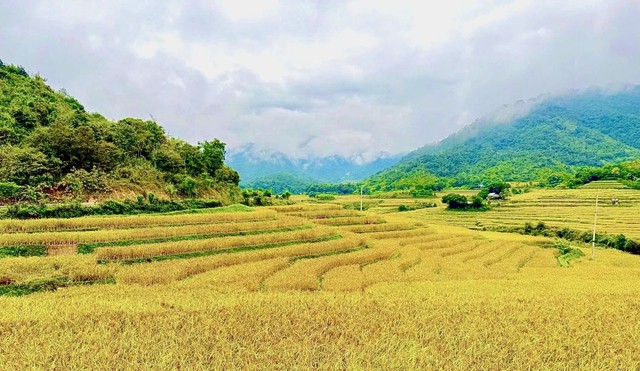 Chuyển đổi số - Đòn bẩy tạo bước ngoặt cho nông nghiệp Thanh Hóa- Ảnh 1.